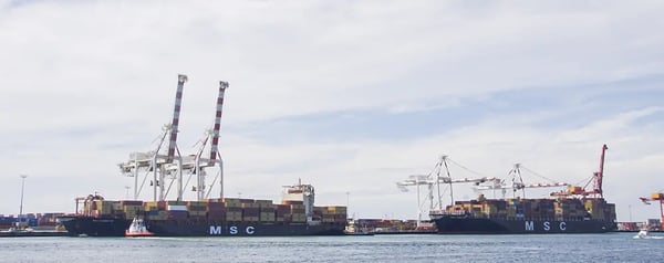 MSC Shanvi III and MSC Abidjan at Fremantle Nov25