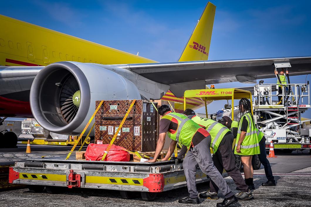 A crate especially made for a babboon. Credit: DHL