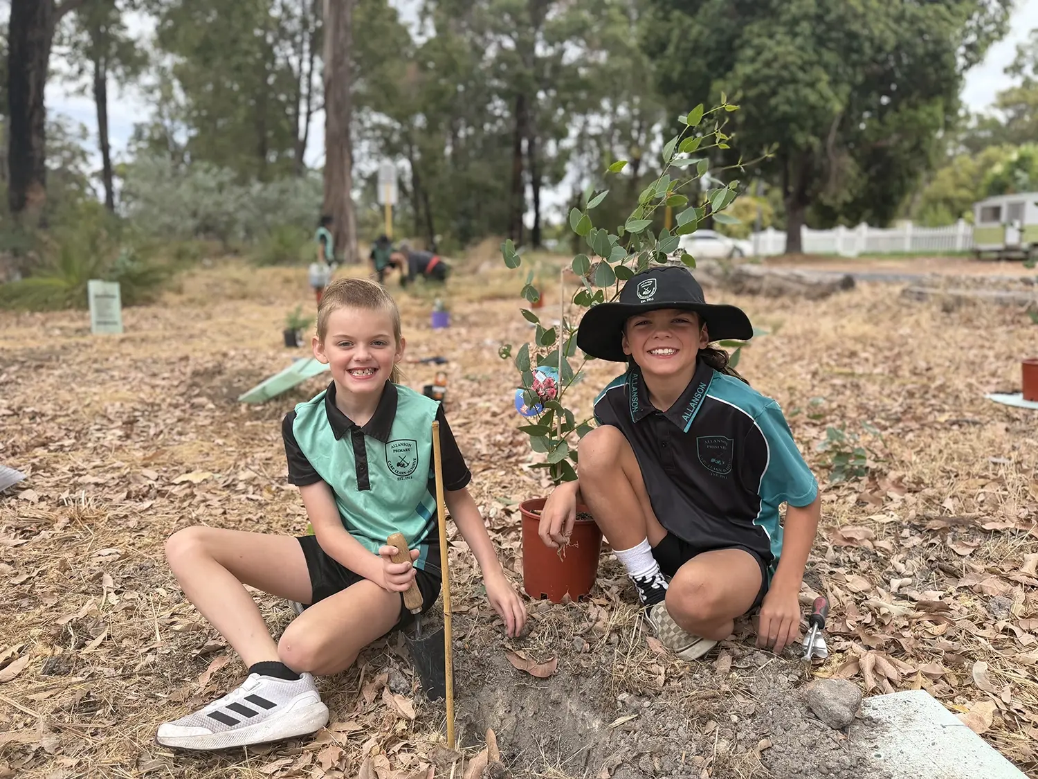 Allanson Primary School tree planting project