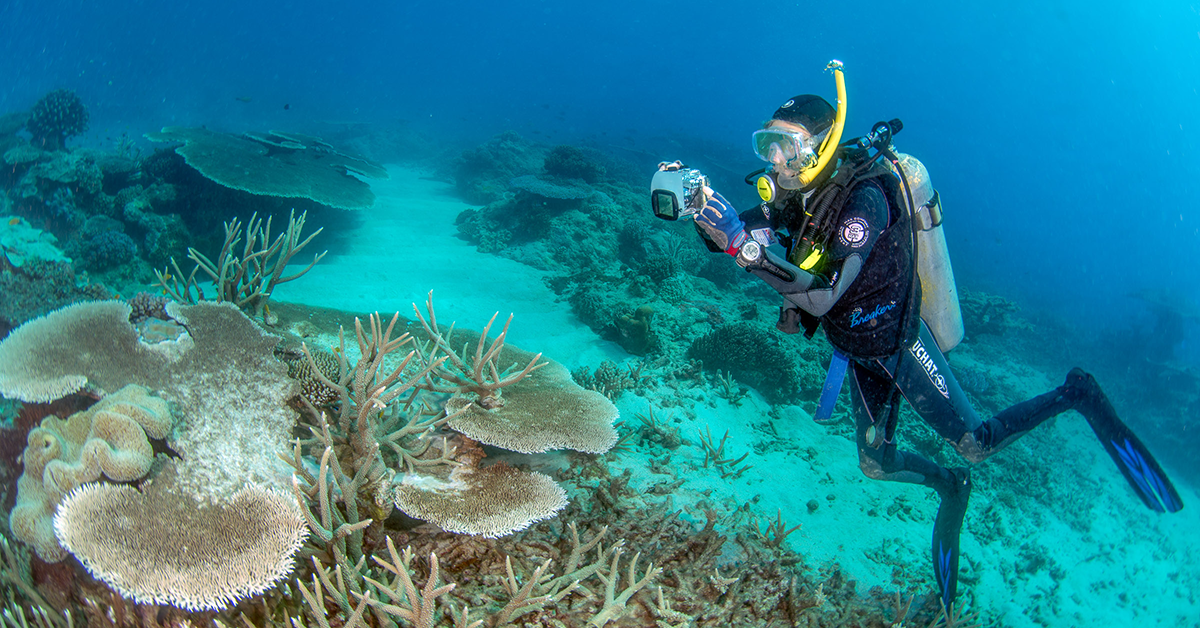 Port-university tie-up launches $7.5 million marine science program