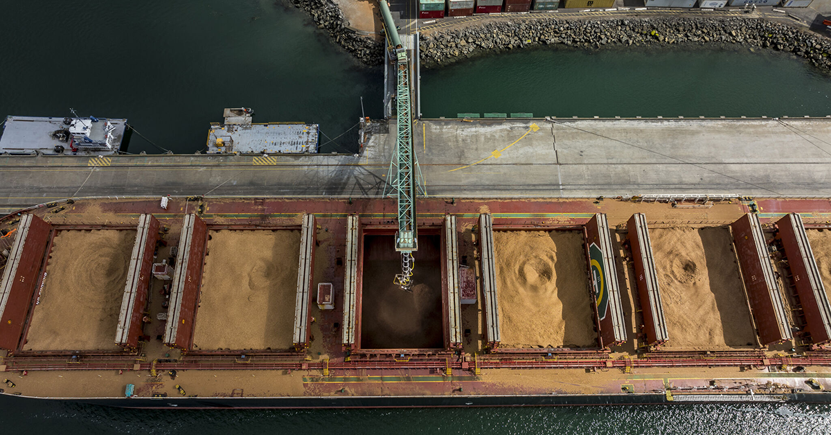 Image: TasPorts / LinkedIn