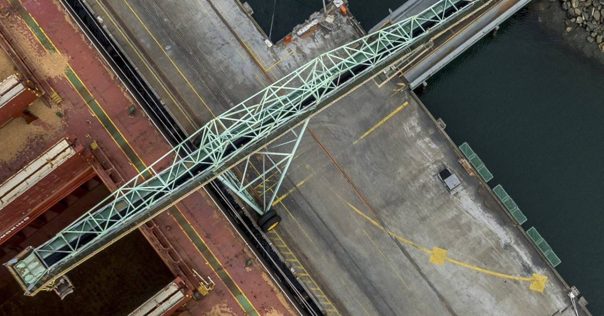 Forestry sector bolsters Tasmanian exports, port data shows