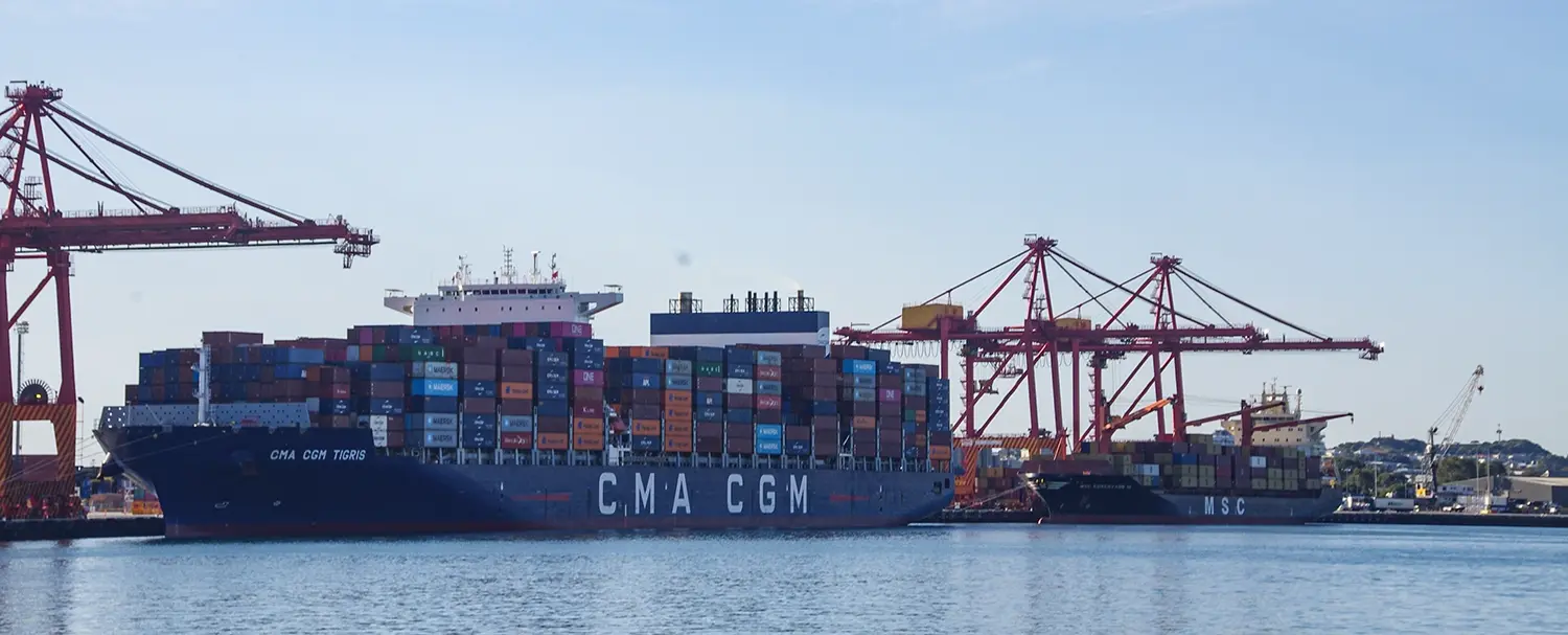 CMA CGM Tigris and MSC Corcovado III at Fremantle Jun26