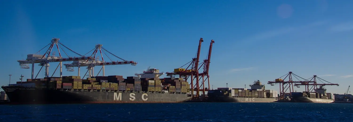 MSC Alina, MSC Cancun IV and MSC Bay IV at Fremantle May26