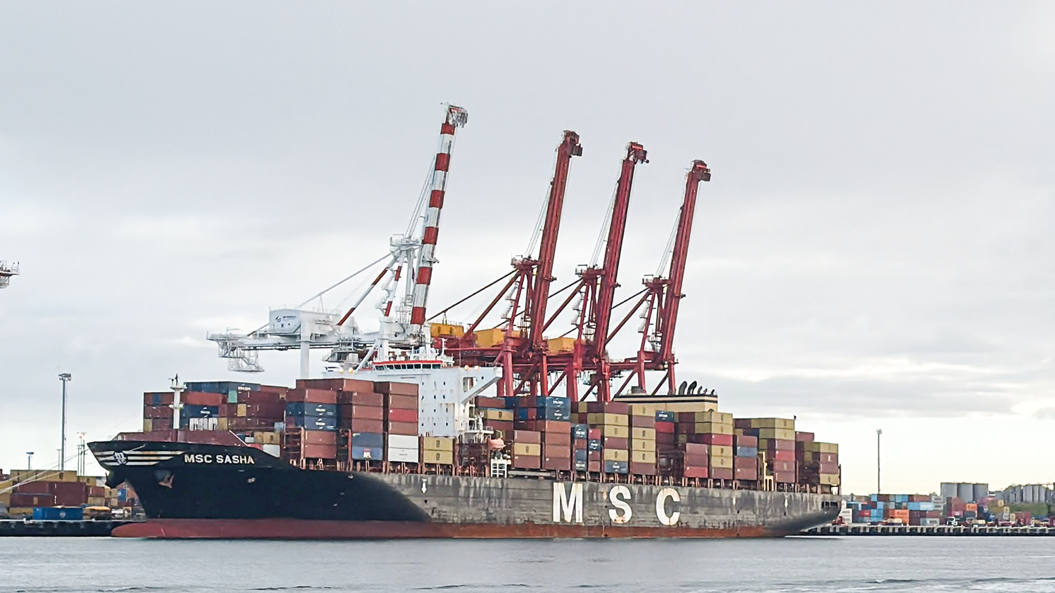 MSC Sasha at Fremantle Aug26. ©Amanda Bradfield