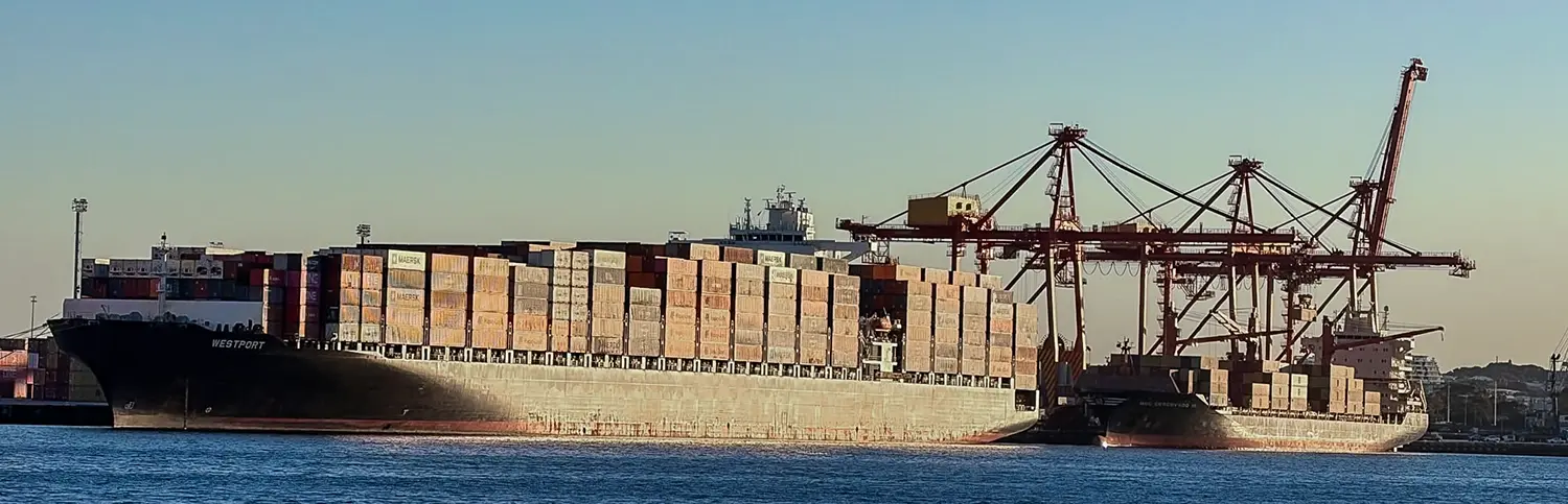 Containerships Westport and MSC Corcovado III at Fremantle Aug26 © Amanda Bradfield