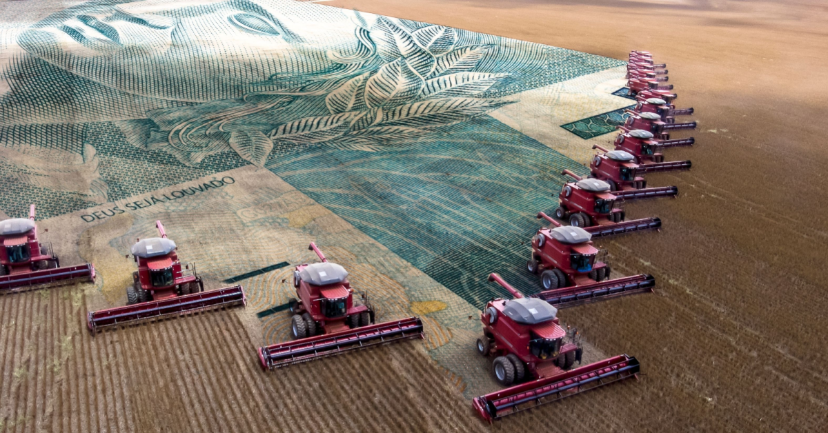 Chinese demand remains the backbone of Brazilian soybean exports. Image: Shutterstock