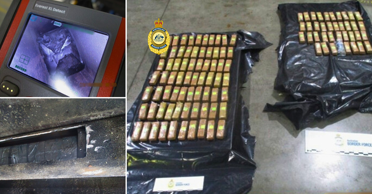 Dogs sniff out cocaine from shipping container