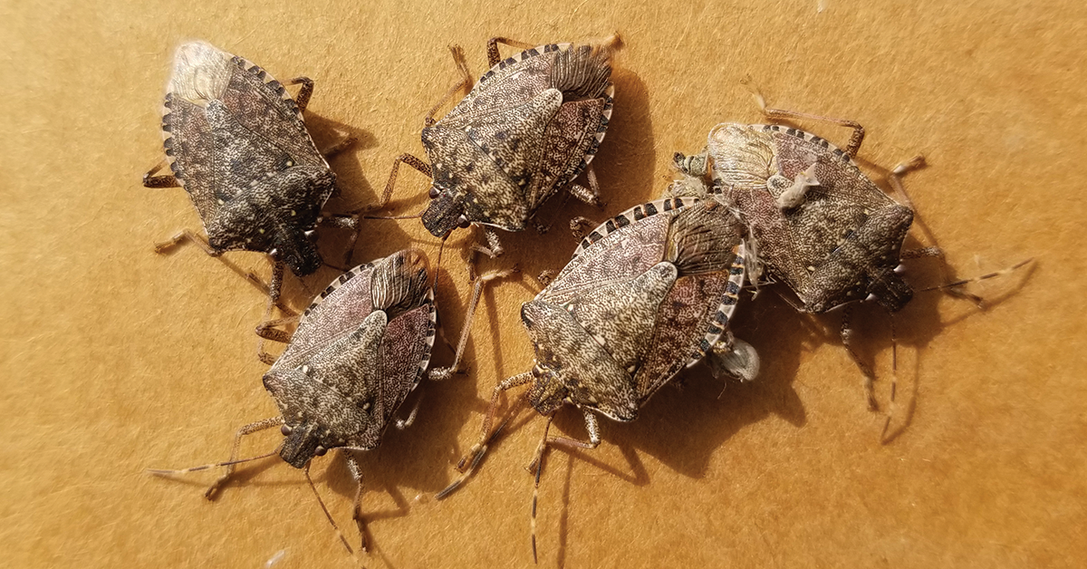 OPINION: Cost recovery must match reform risk