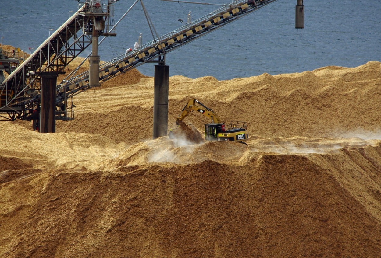 A woodchip pile at Burnie. Image: Dale E Crisp