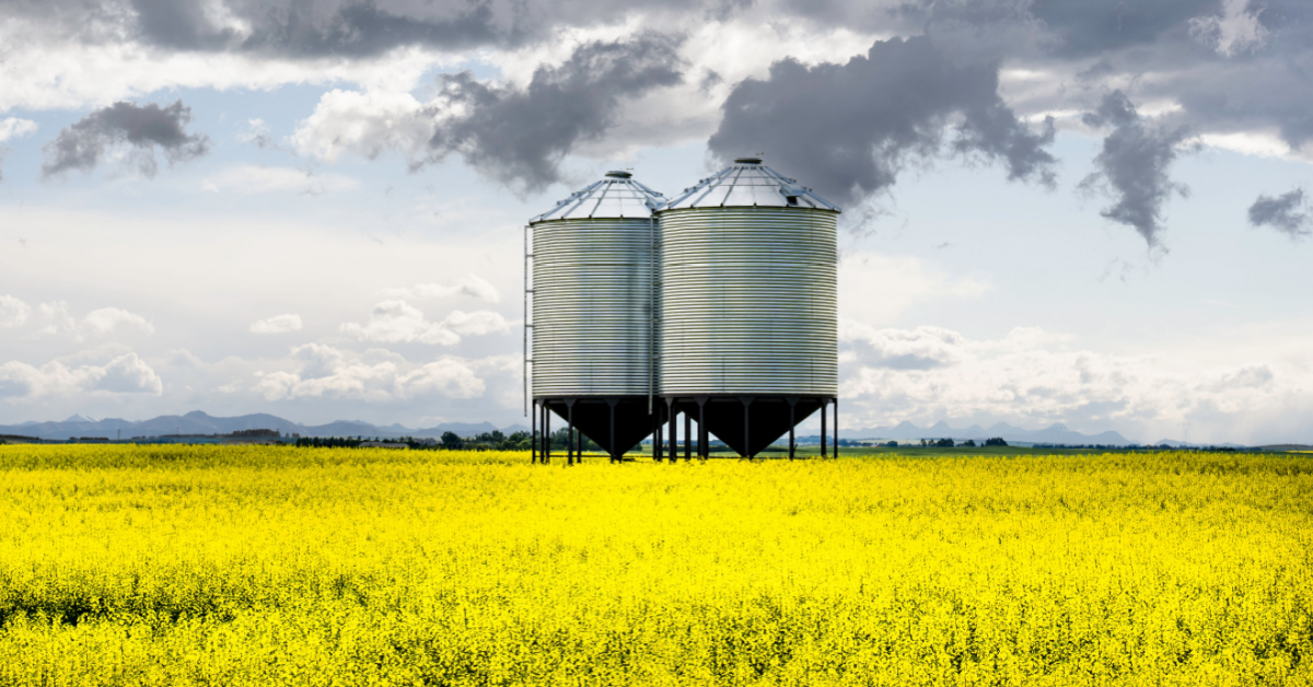 Boost for canola exports to Pakistan
