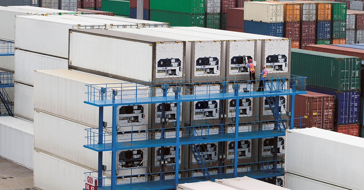 Efficiency and sustainability focus of Transicold program