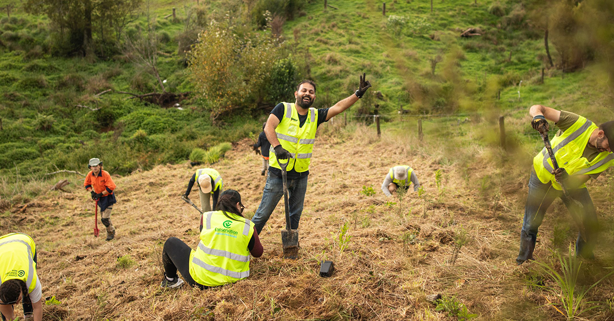 Shipping line works to restore South Auckland stream