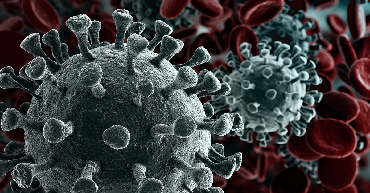 Virus triggers cash flow pain for transport sector
