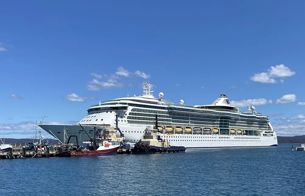 Eden - 20 years of cruise