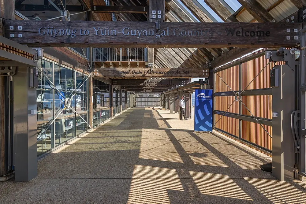 Eden - 20 years of cruise