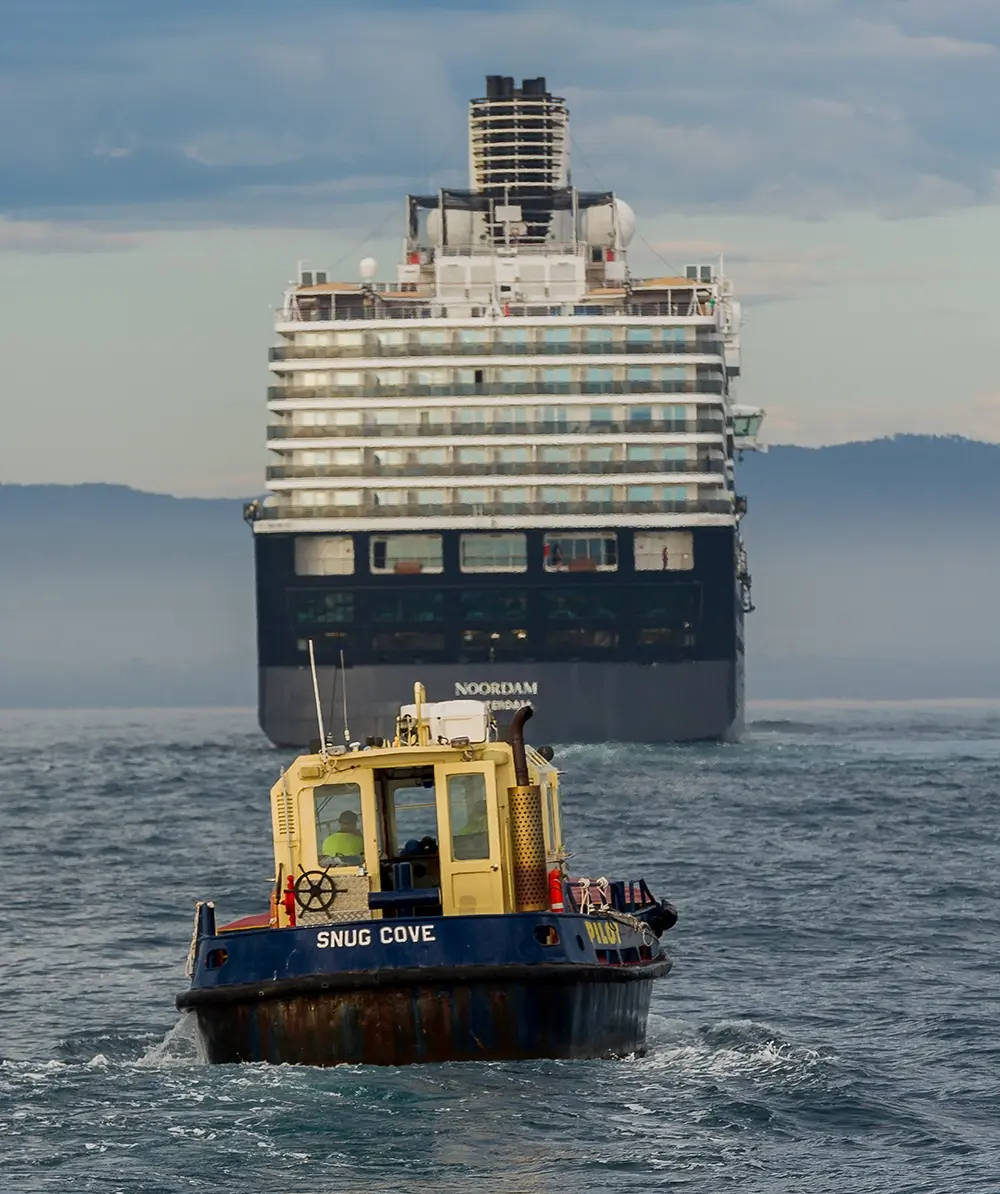 Eden - 20 years of cruise