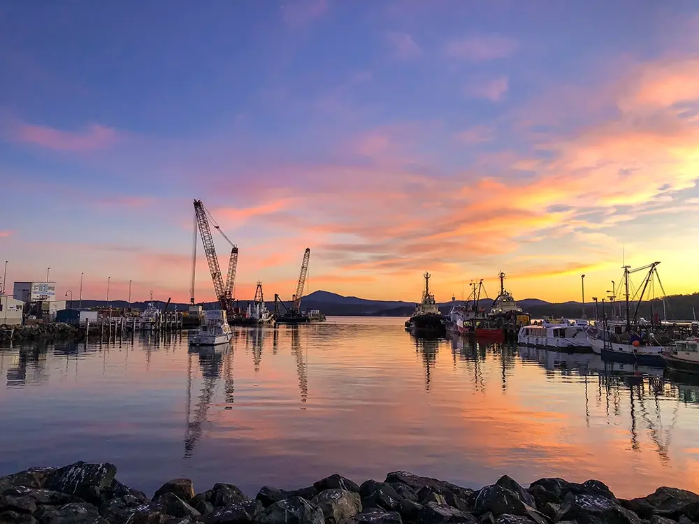 Eden - 20 years of cruise