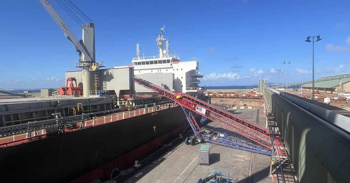 22,000 tonnes of faba beans being loaded onto the Chios Sunrise. Image: Southern Ports