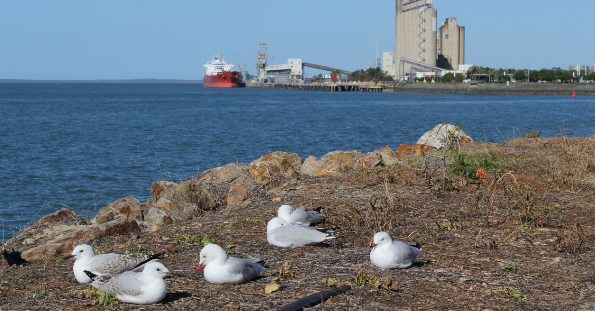 BizOps 2025 held in Gladstone