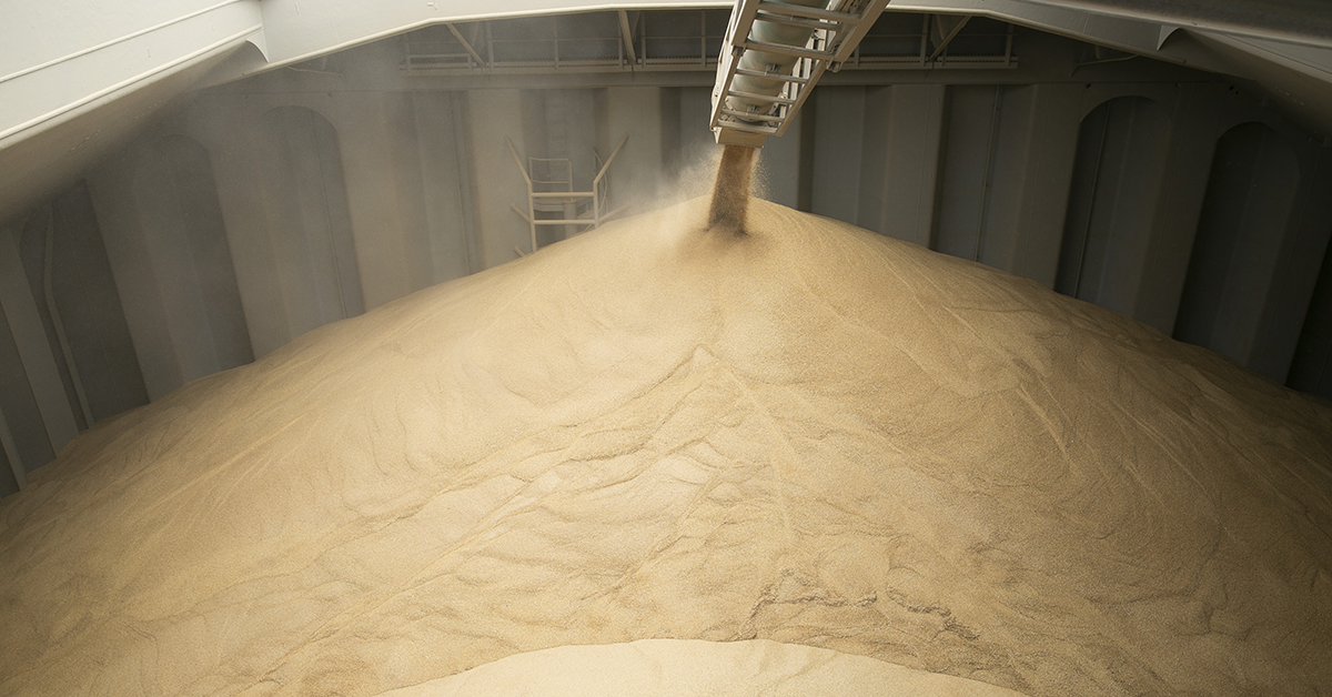New highs at Albany and Esperance have seen grain export records shattered. Image: Southern Ports