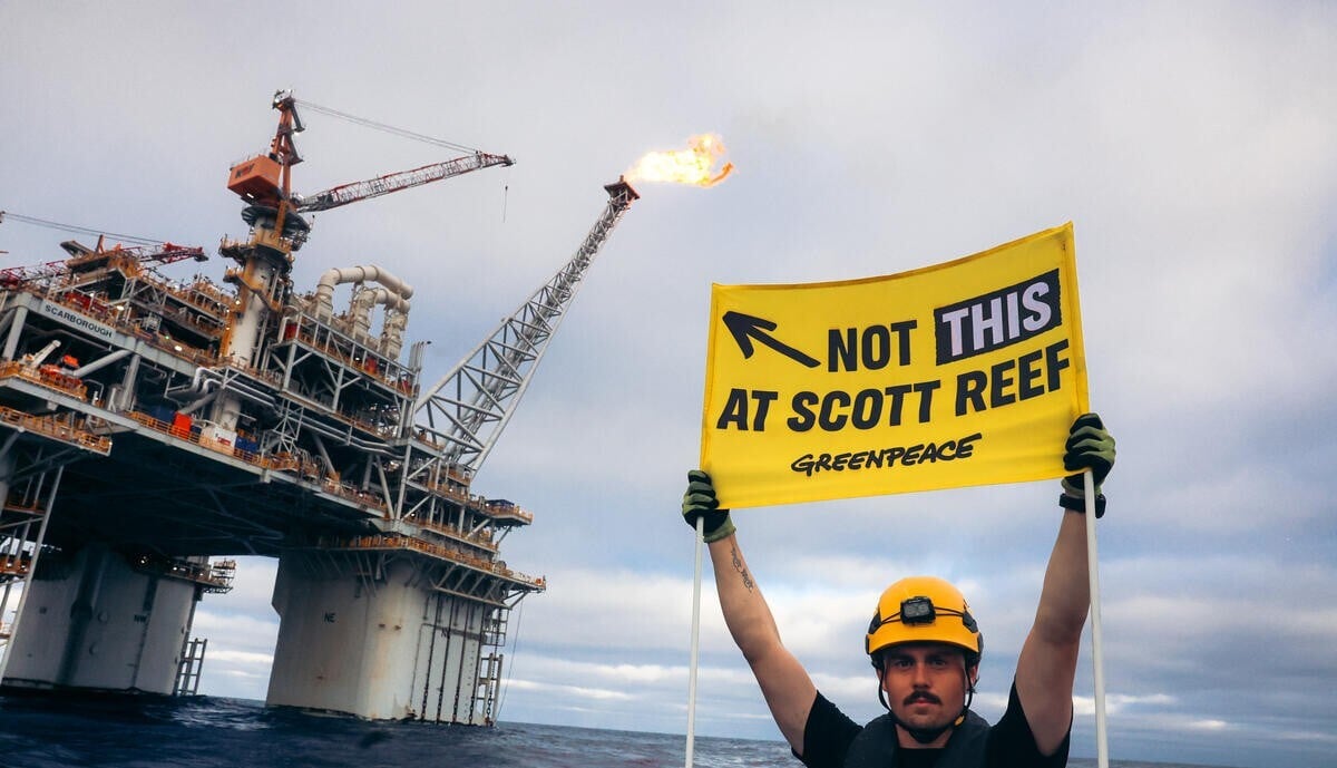 Image: Greenpeace