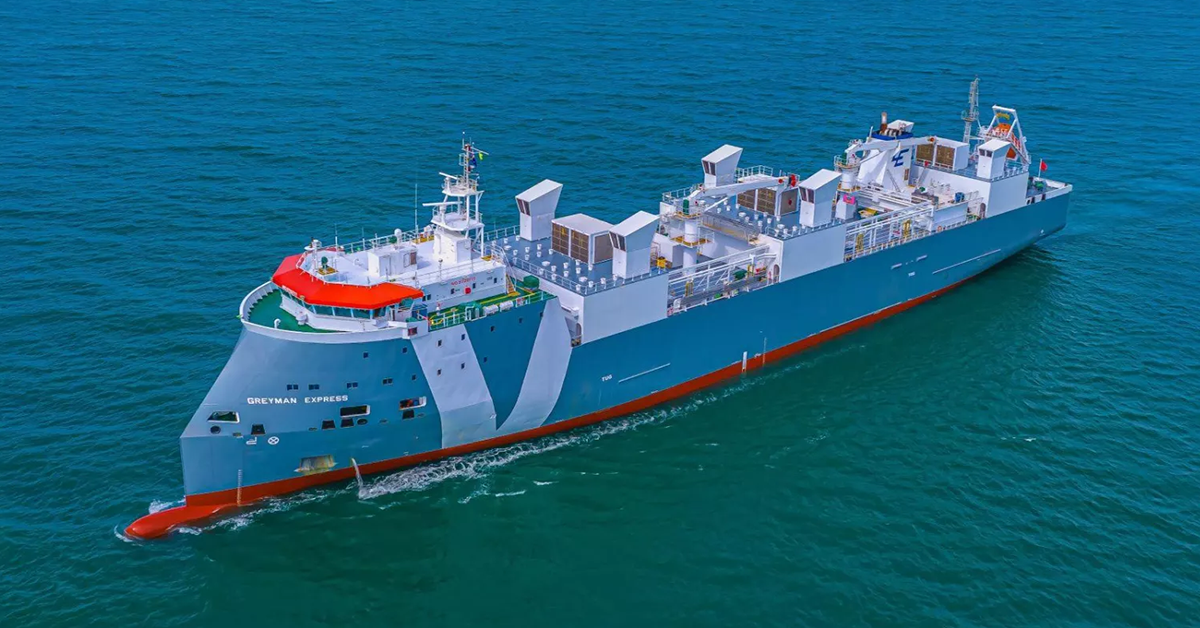 Livestock carrier Greyman Express. Image: Vroon