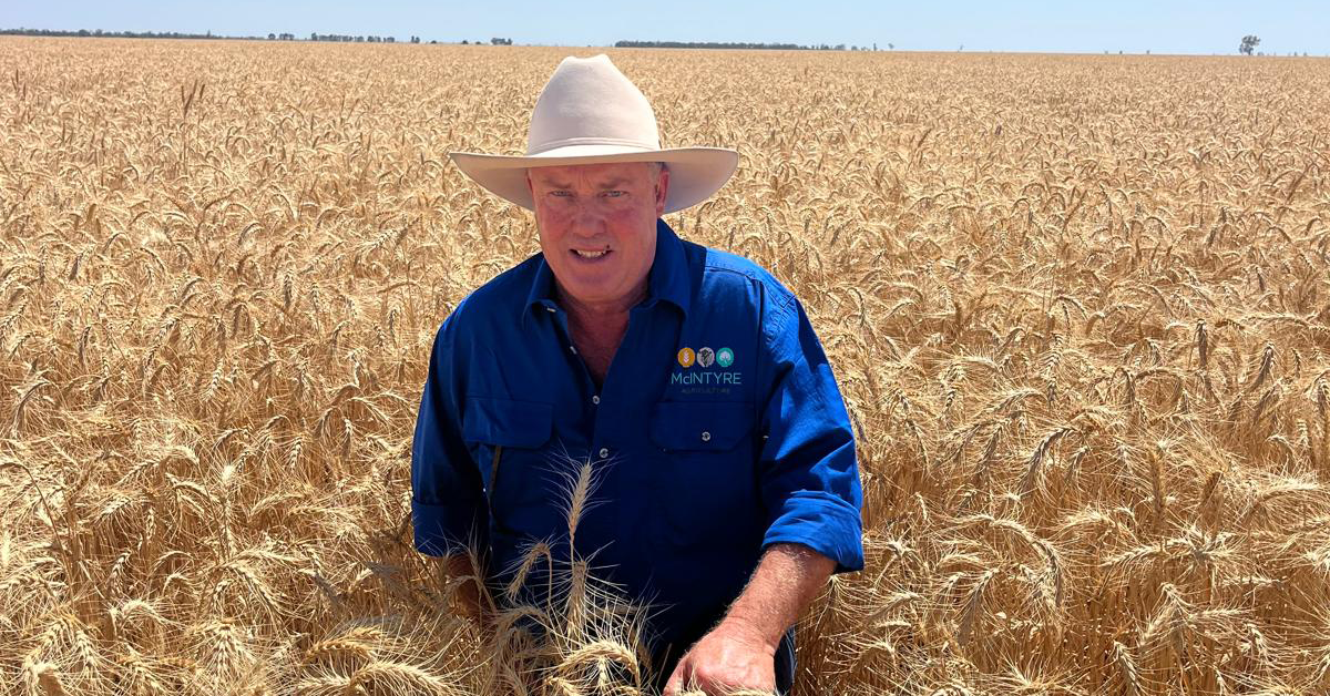 NFF president, Hamish McIntyre. Image: NFF