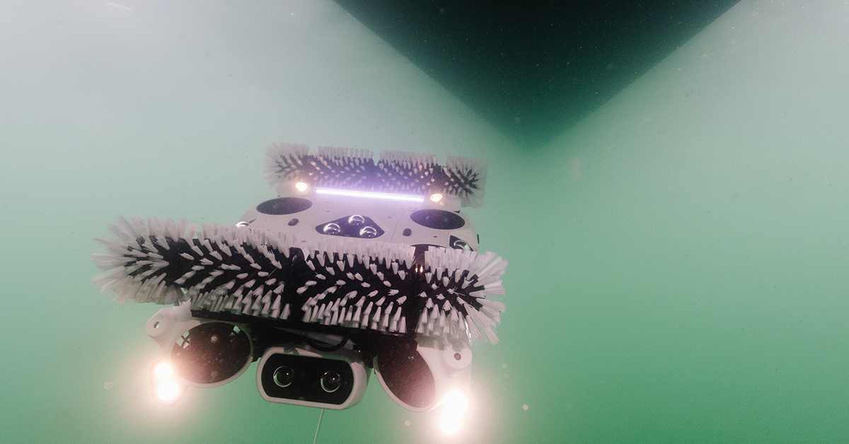 Hull of a win for Sydney robots