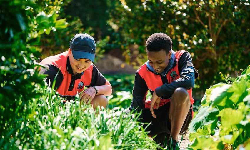 NSW Ports names 2022 community grants recipients