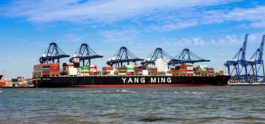 Shipping company criticised over Y M Efficiency clean-up