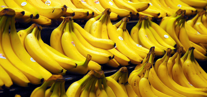 Potentially harmful banana corms intercepted