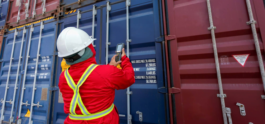 Details released of offshore BMSB treatment providers