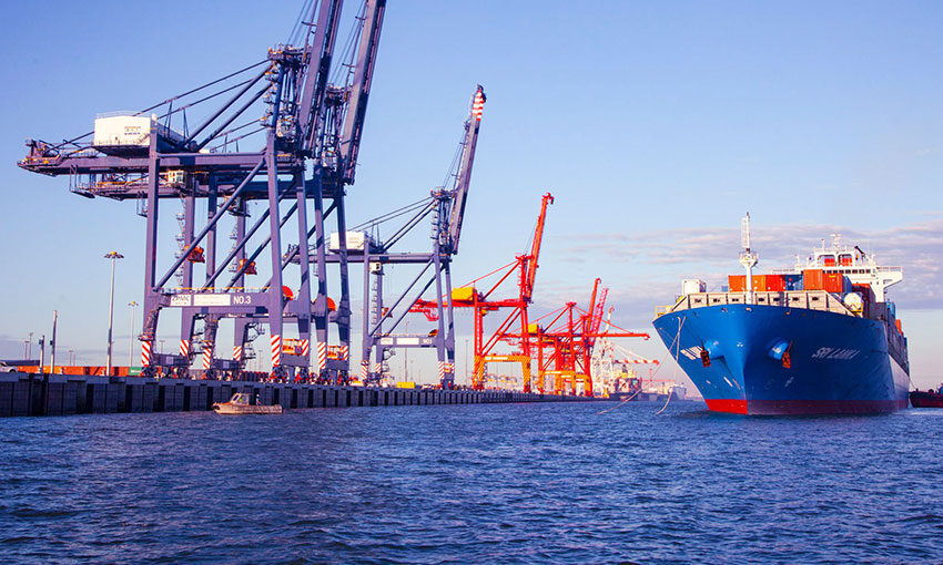 Port of Brisbane gets 5-star rating in global sustainability assessment