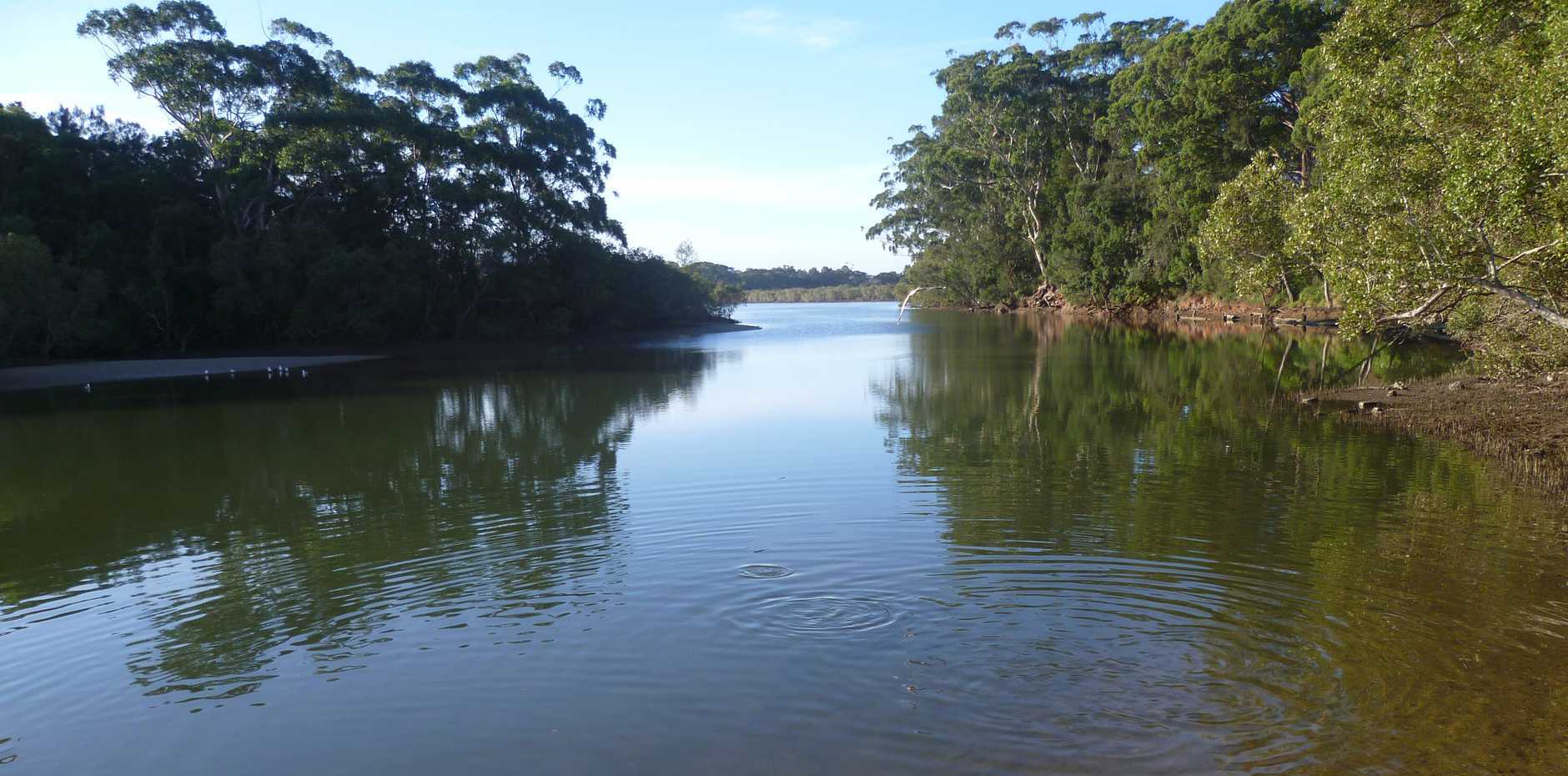 Gladstone Ports supports mangrove boardwalk construction