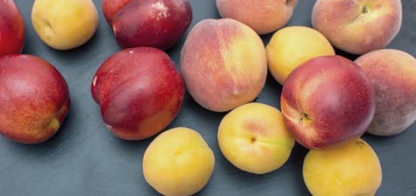 Rise in demand for Australian fresh fruit to the Philippines