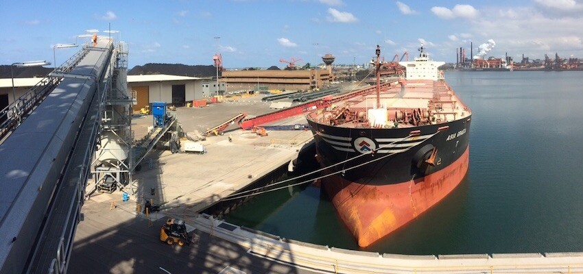 Export opportunities buoy farmers on AgDay