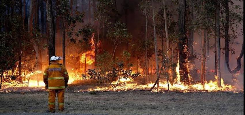 Carnival supports bushfire disaster relief