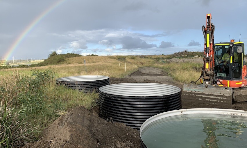 Port of Newcastle backs New ponds for Kooragang Island’s frogs