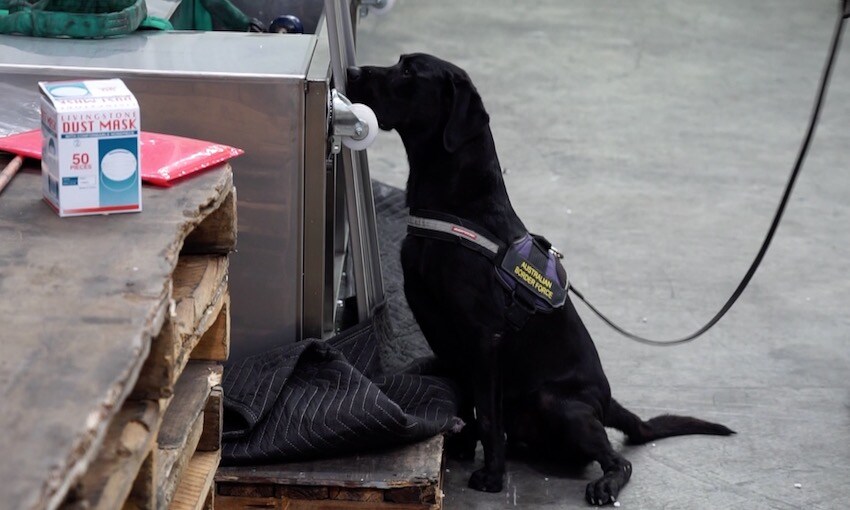 “Ice” found in ice-cream making machine