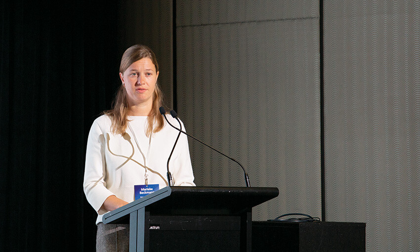 Taskforce sets priorities for iron ore green corridor