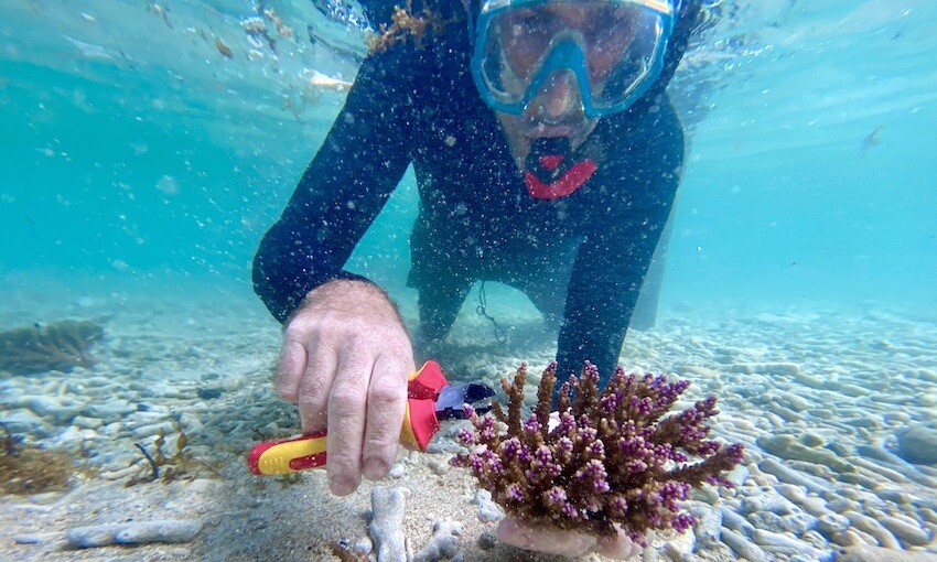 ANL acts to protect marine biodiversity