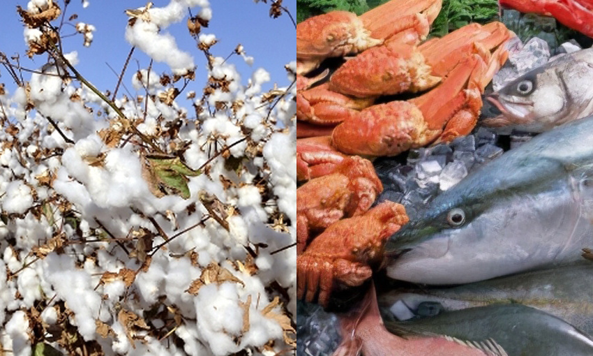 Seafood and cotton industries get a leg up from government