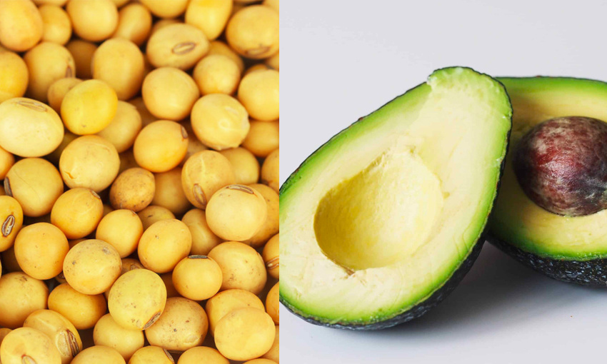 Government supports grains and avos on global stage