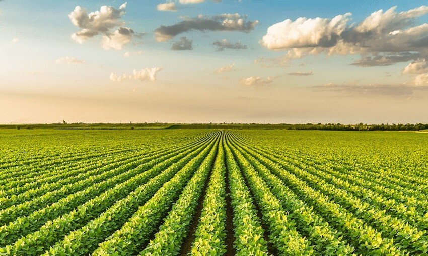 Australian exports to capture greater value