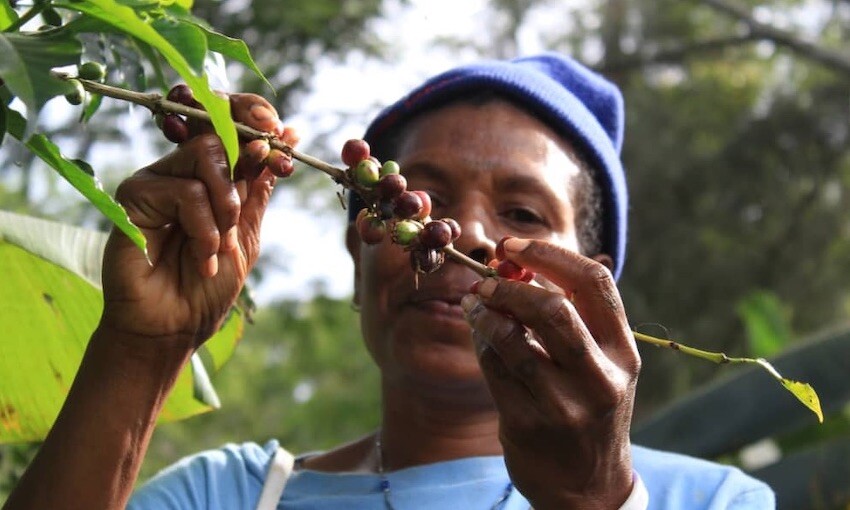 Australia-Pacific co-operation to grow agricultural trade in the region