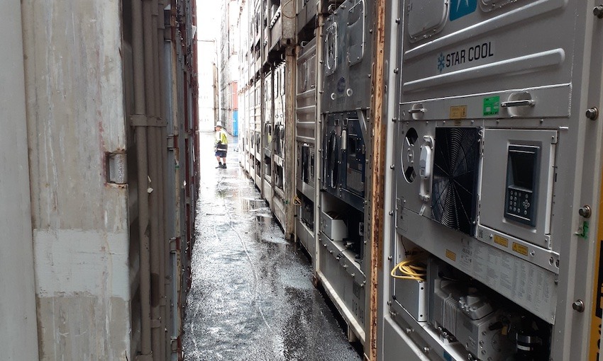 QLD men charged after nearly 540kg of cocaine was smuggled in reefer