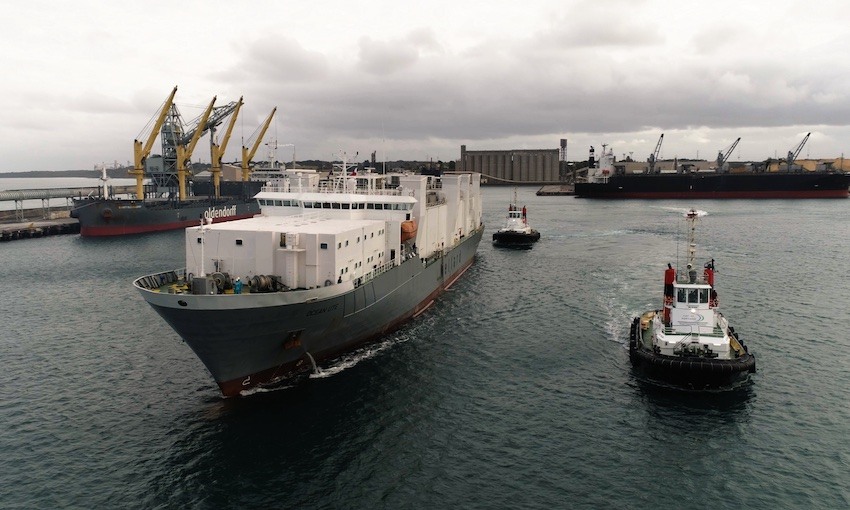 Wellard reports FY net loss of more than US$15 million