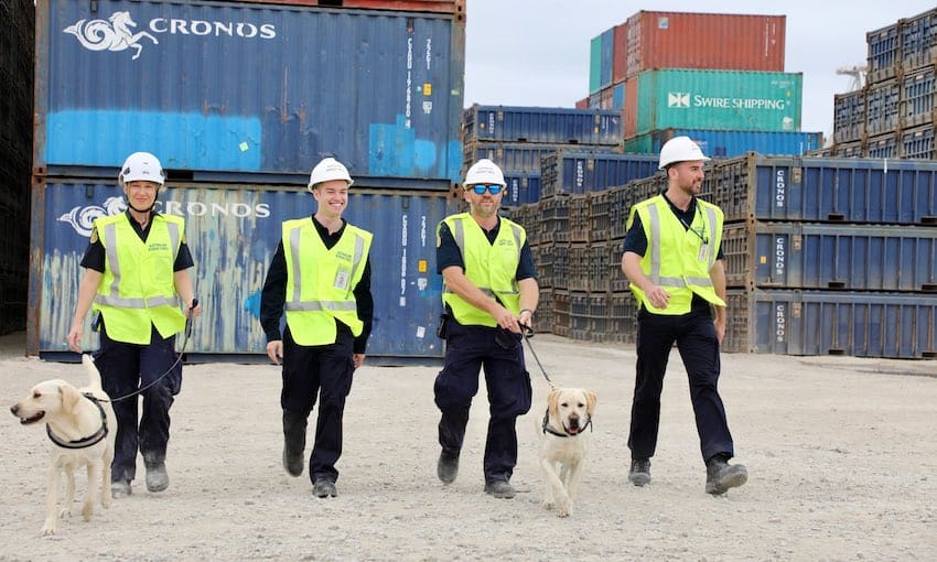 ABF border blitz targets Port of Townsville