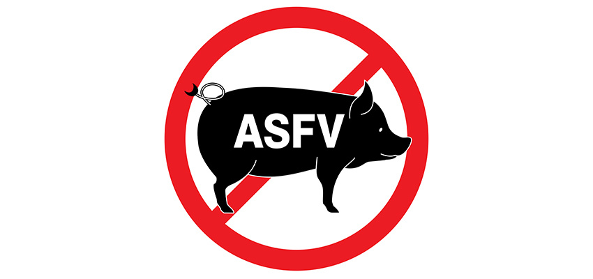 Government moves to battle swine fever